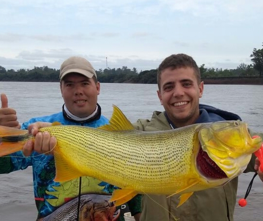 Concordia llena de dorados!!!