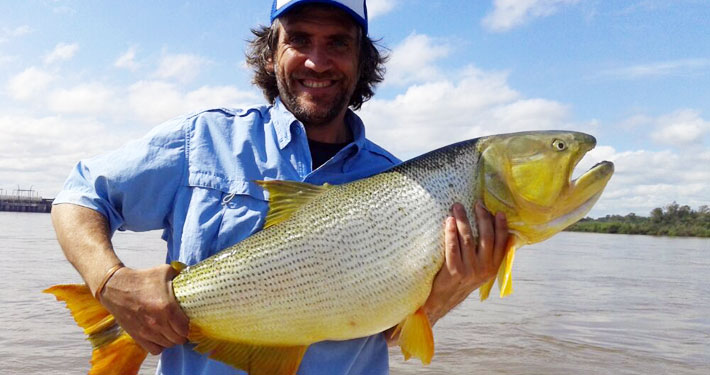 Dorados
