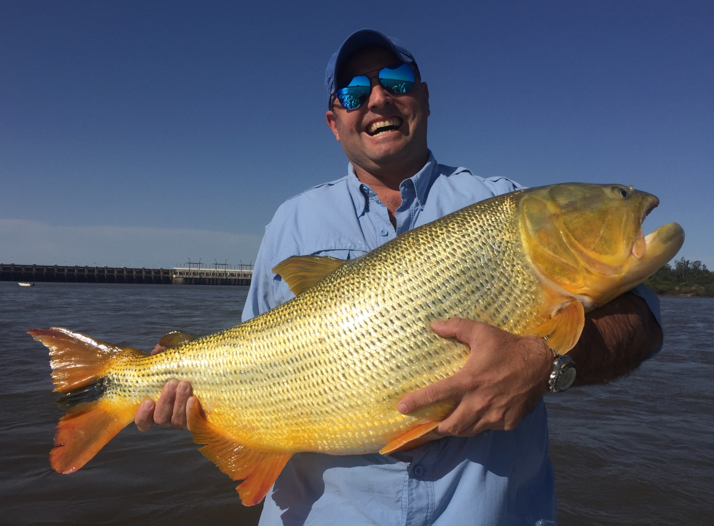 Pesca de dorado en el Río Uruguay, Concordia